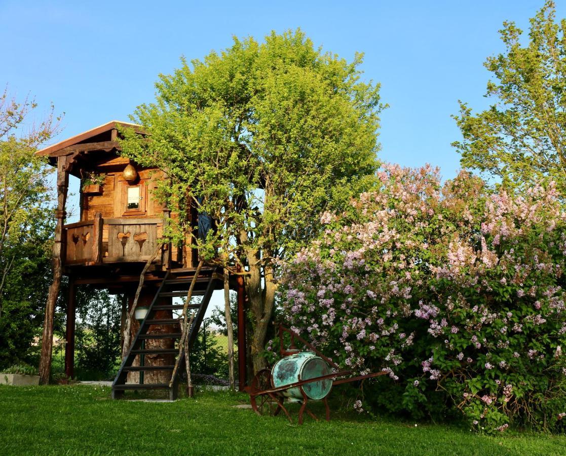 カーリLa Collina Dei Ciliegiアパートメント エクステリア 写真
