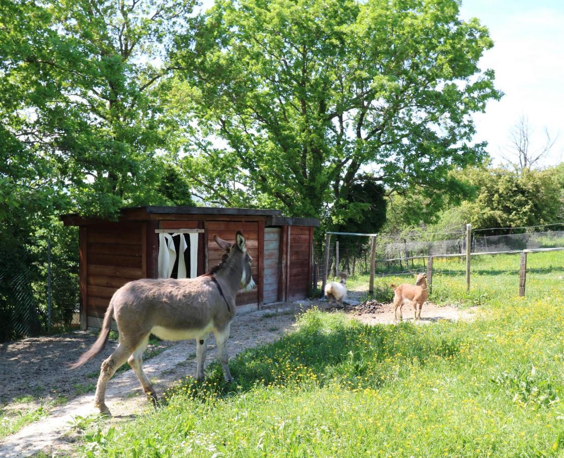 カーリLa Collina Dei Ciliegiアパートメント エクステリア 写真